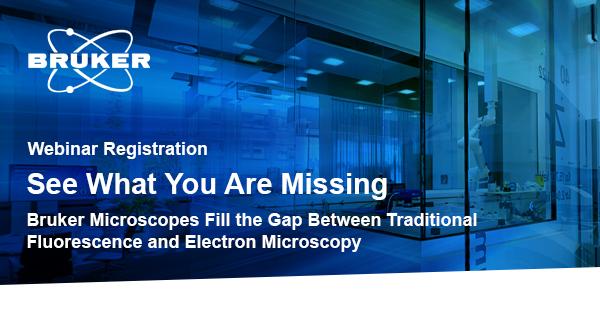 Webinar : Bruker Microscopes Fill the Gap Between Fluorescence and Electron Microscopy